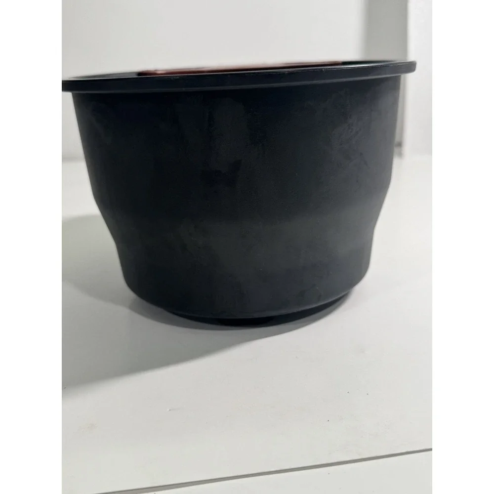 Wilbur Curtis Brew Cone,Assy W/Splash‎ Pocket WC-3338-101